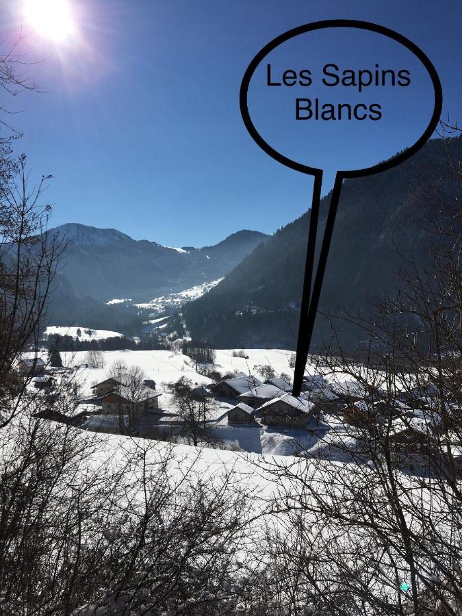 Hotel Atelier Des Sapins Blancs Vacheresse Esterno foto